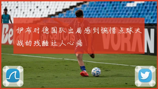伊布对德国队出局感到惋惜点球大战的残酷让人心痛